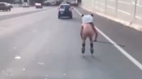 全裸のパンダ男、ローラーブレードで高速道路を颯爽と駆け抜ける